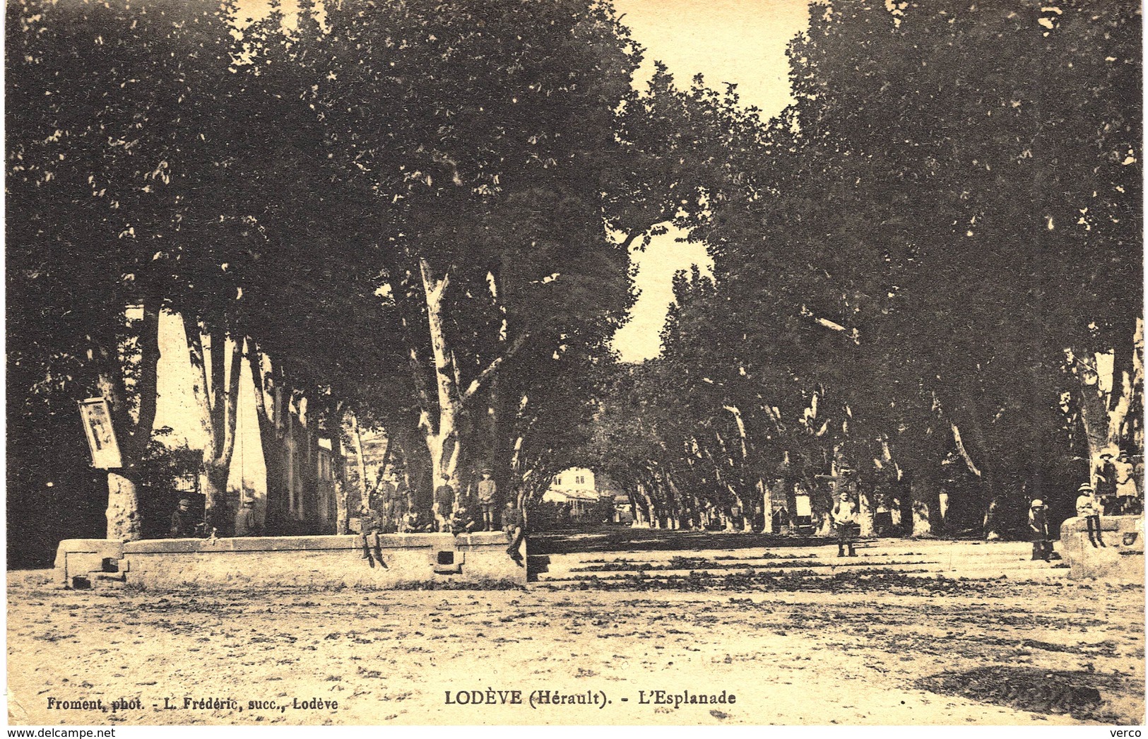Carte Postale Ancienne De LODEVE - Esplanade - Lodeve