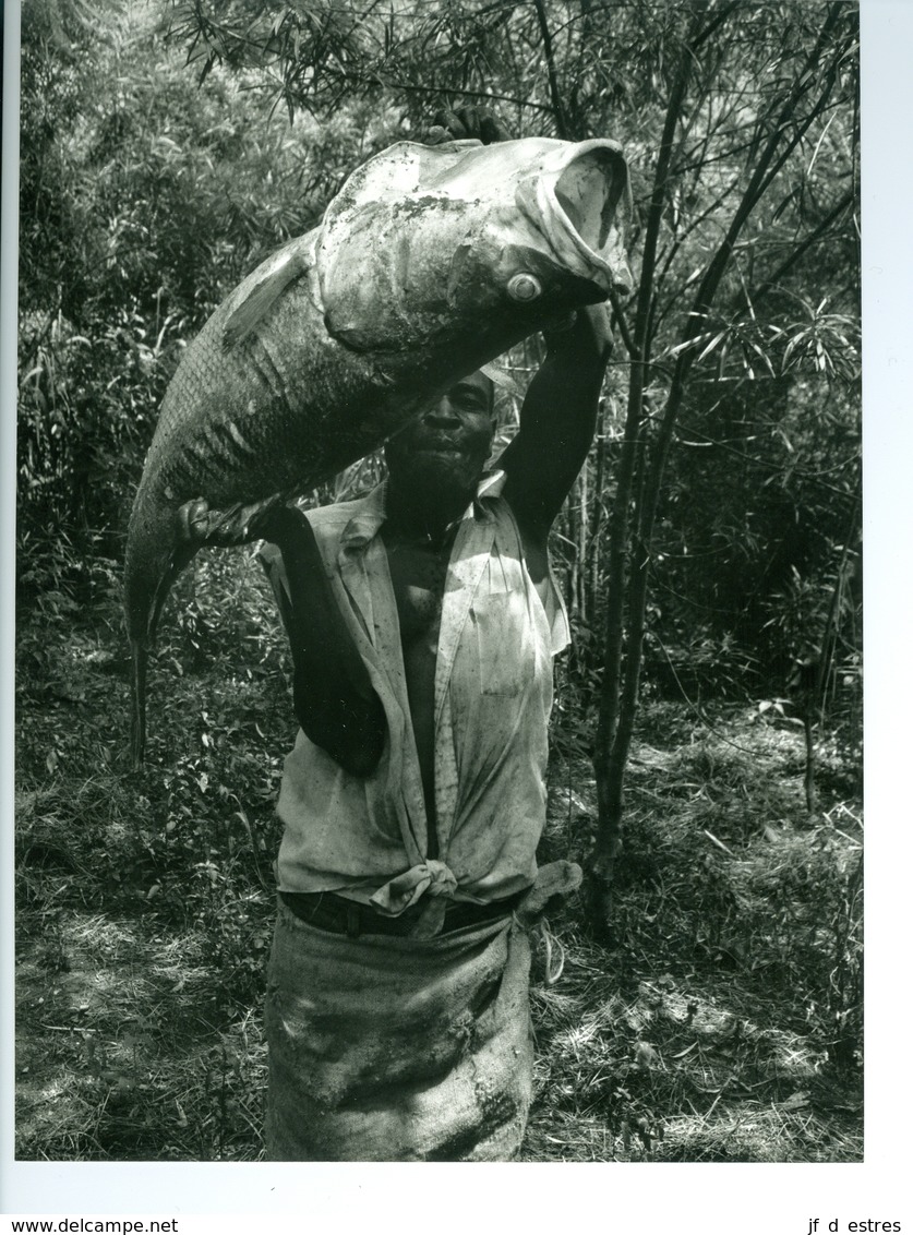 Photo Zaïre Kasenyi. Beau "capitaine" Du Lac Mobutu, Ex-lac Albert Congo 1988 Photo-service PP. Blancs - Afrika