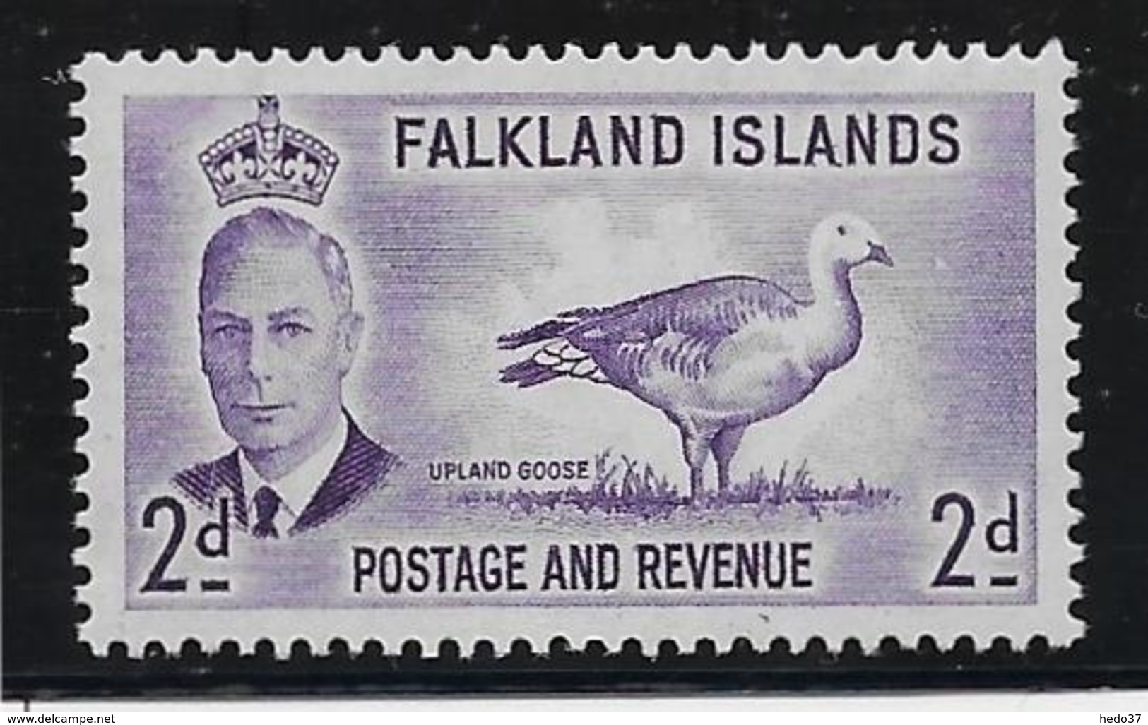 Falkland N°103 - Oiseaux - Neuf ** Sans Charnière - TB - Islas Malvinas