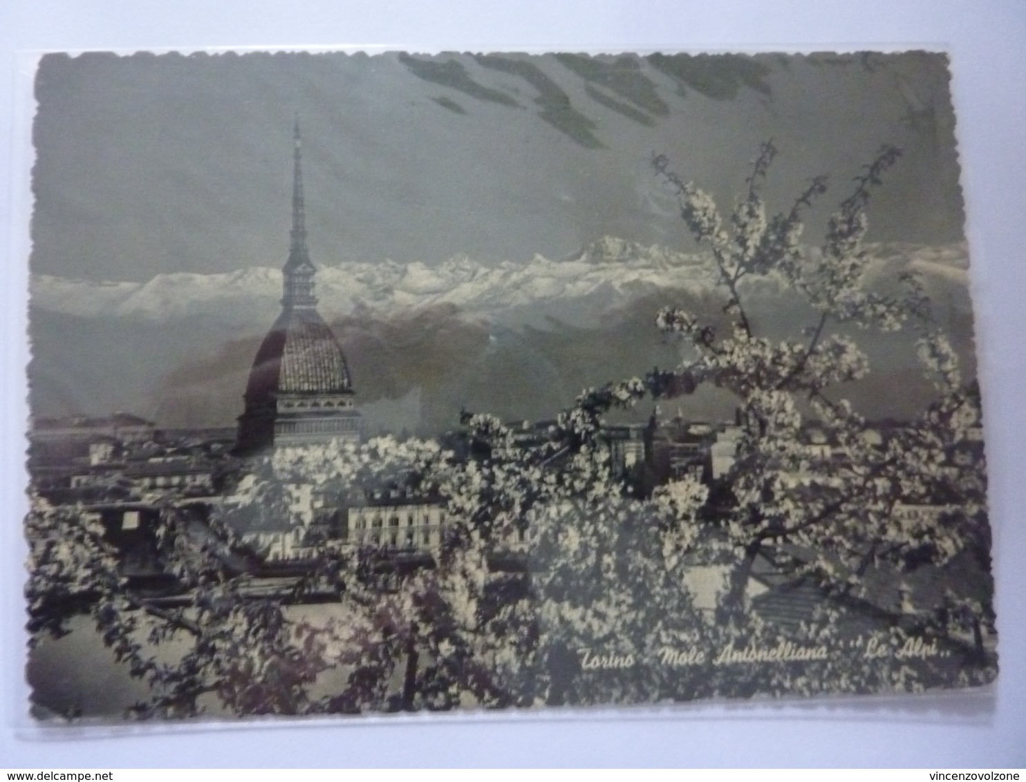 Cartolina Viaggiata "TORINO Mole Antonelliana, Le Alpi" 1949 - Mole Antonelliana