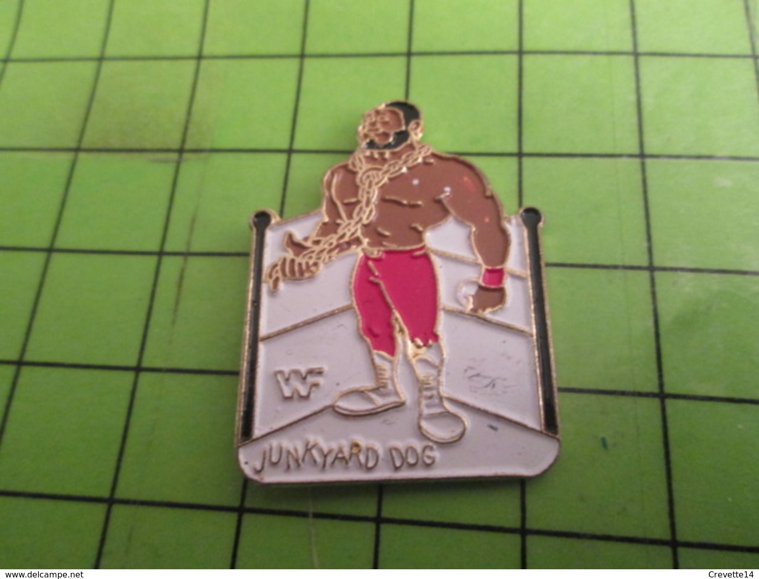 310c Pins Pin's / Rare & De Belle Qualité  THEME SPORTS / CATCH CATCHEUR AMERICAIN JUNKYARD DOG - Lotta