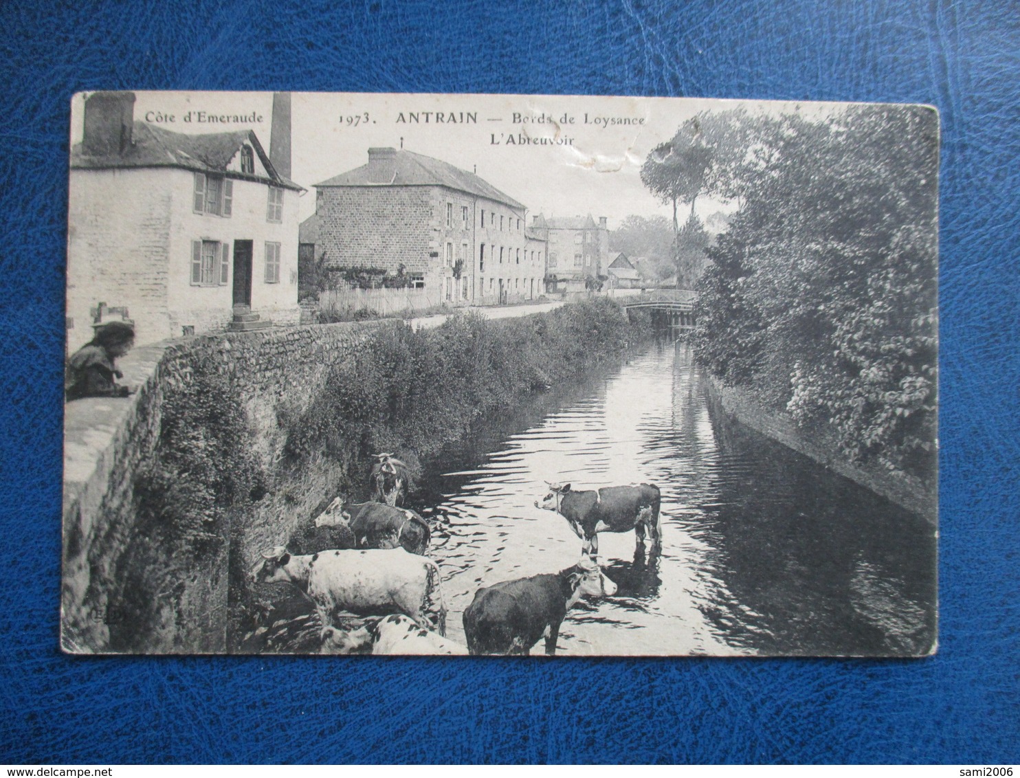 CPA 35 ANTRAIN BORDS DE LOYSANCE L'ABREUVOIR VACHES - Autres & Non Classés