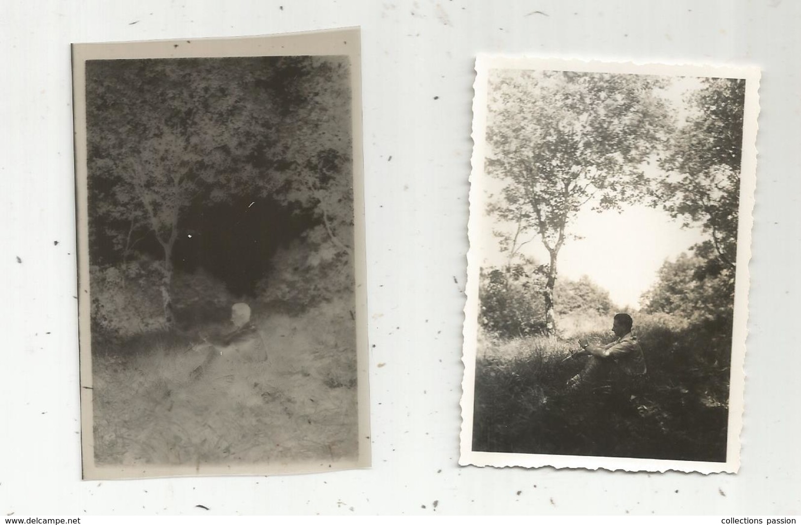 Photographie Et Son Négatif , 9 X 6 , NOUAILLE ,  Vienne , Bois De La Roche De Pron - Lieux