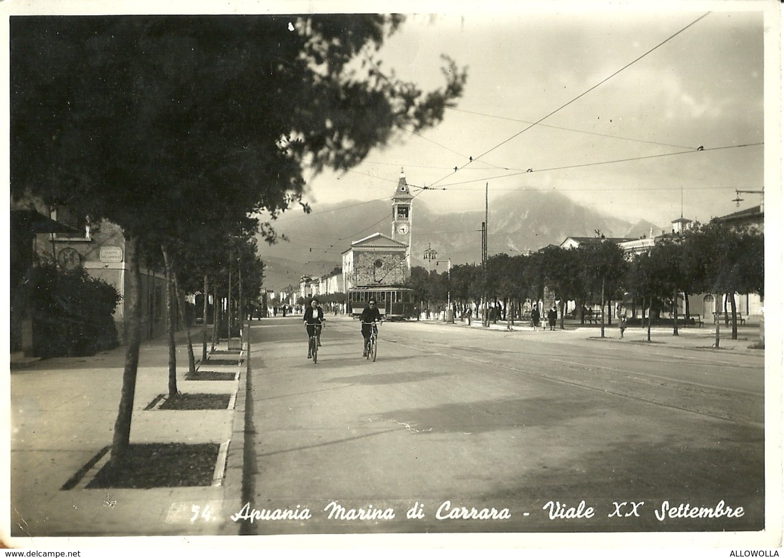 2042 " APUANIA MARINA DI CARRARA - VIALE XX SETTEMBRE-TRAM E CICLISTE "  CARTOLINA POSTALE ORIG. NON SPEDITA - Massa