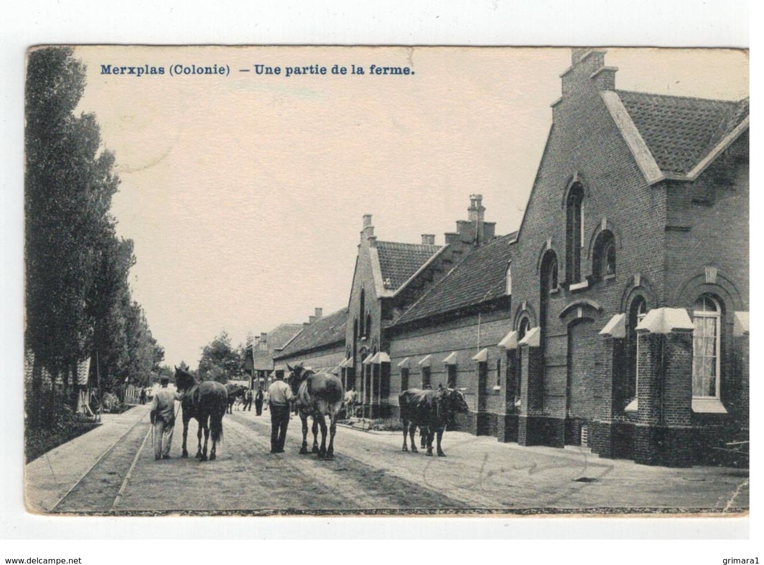 Merxplas (Colonie) - Une Partie De La Ferme 1908 - Merksplas