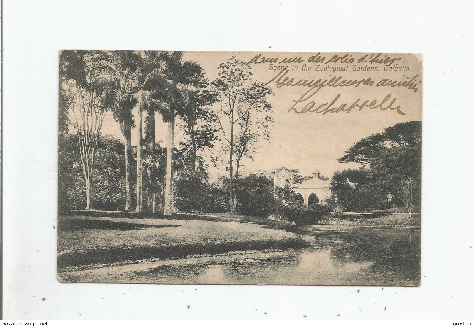 CALCUTTA SCENE IN THE ZOOLOGICAL GARDENS  1911 - India