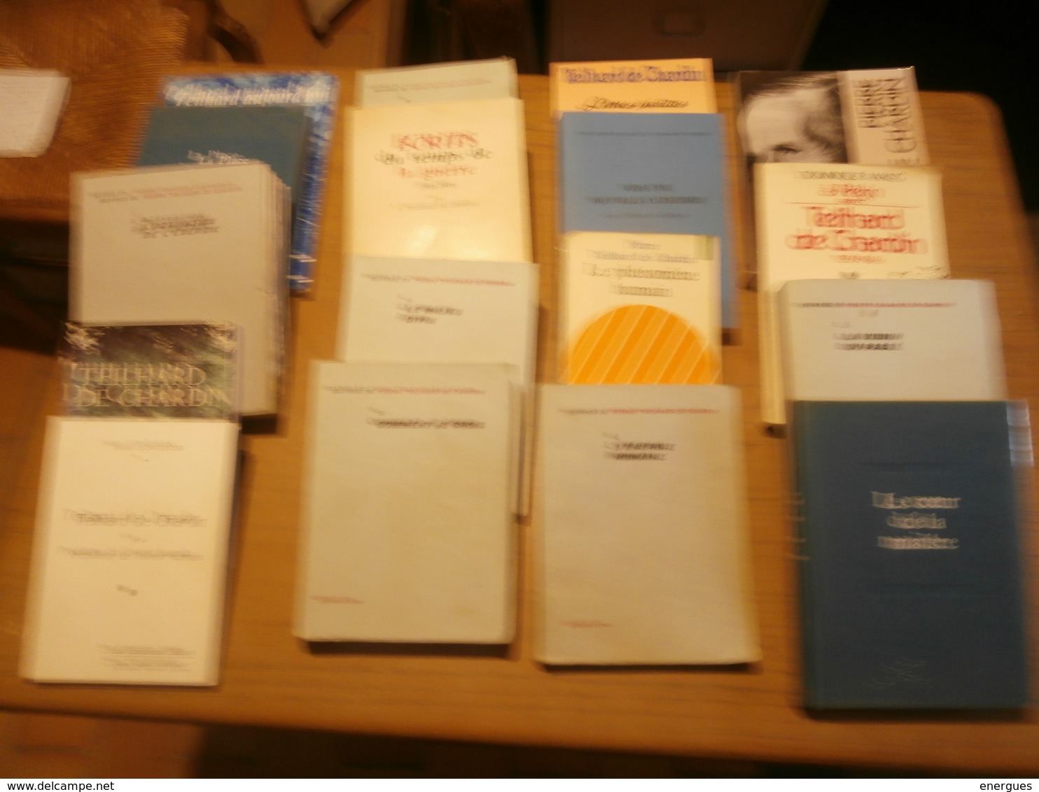 Teilhard De Chardin, Lot De 17 Livres, Voir Scan - Lotti E Stock Libri