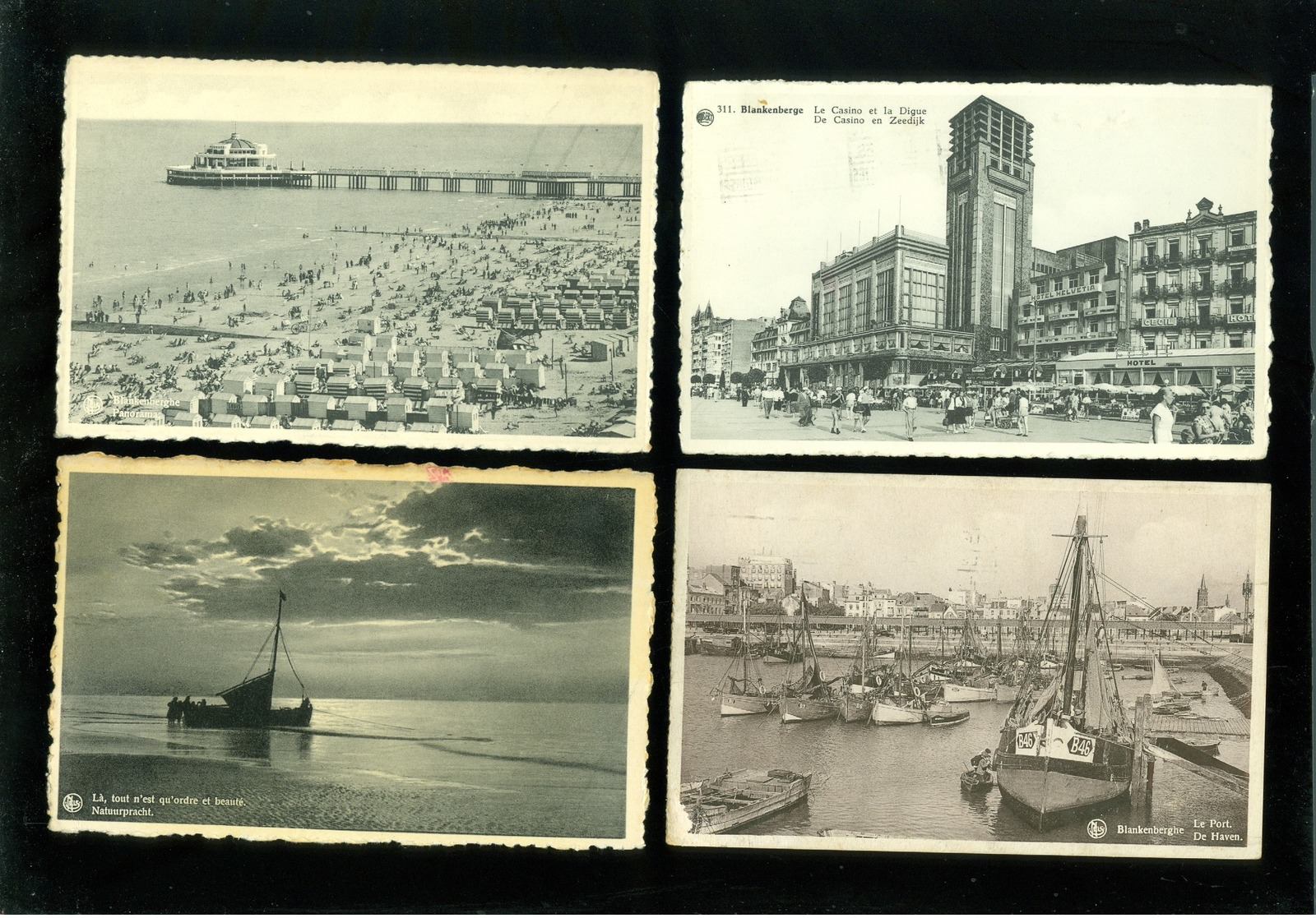 Lot de 50 cartes postales de Belgique  la côte  Blankenberge      Lot van 50 postkaarten van België kust  - 50 scans