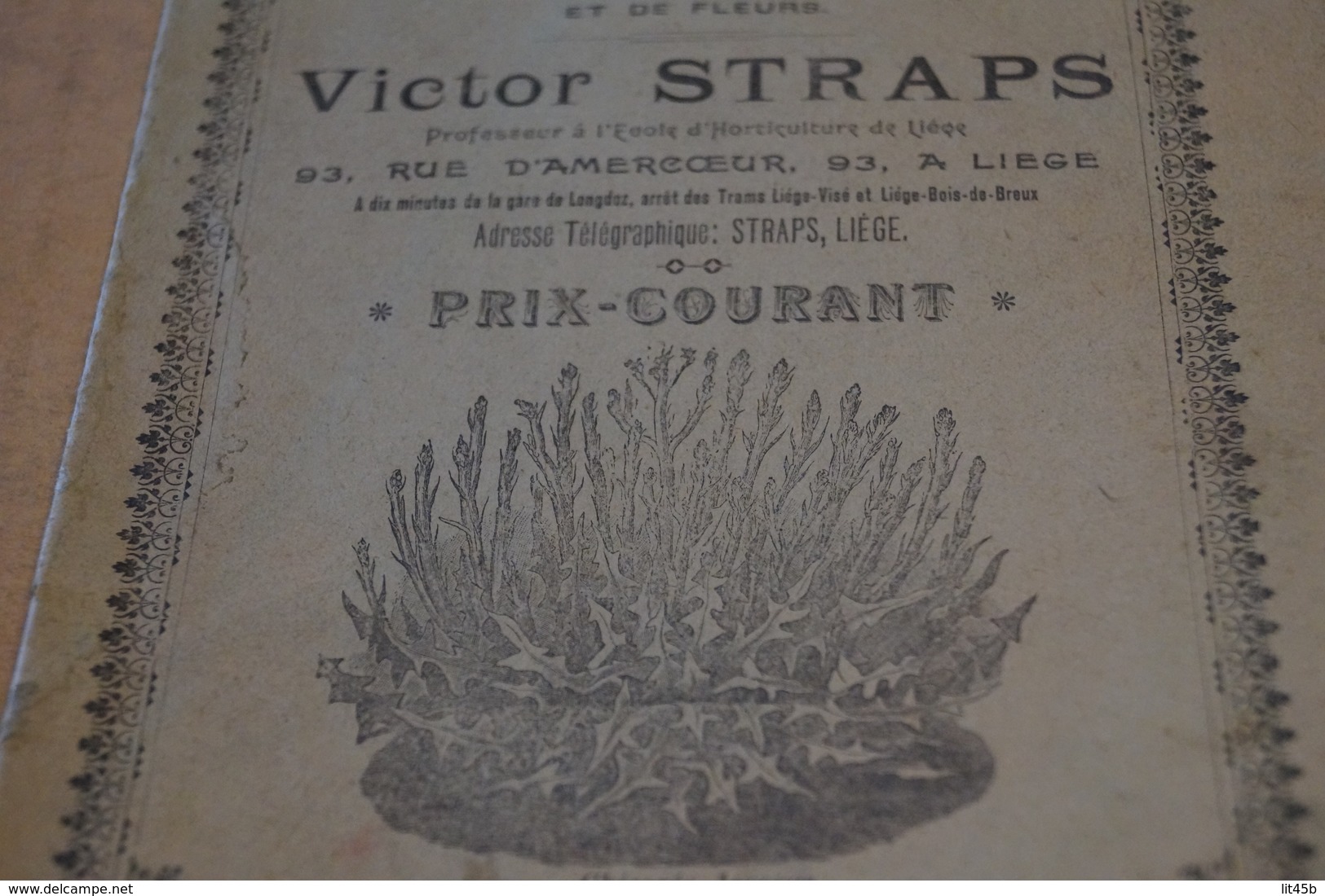 Ancien Catalogue Publicitaire établissement Horticole Année 1900,Victor Straps,Liège,18 Pages,23 Cm/15 Cm. - Publicités