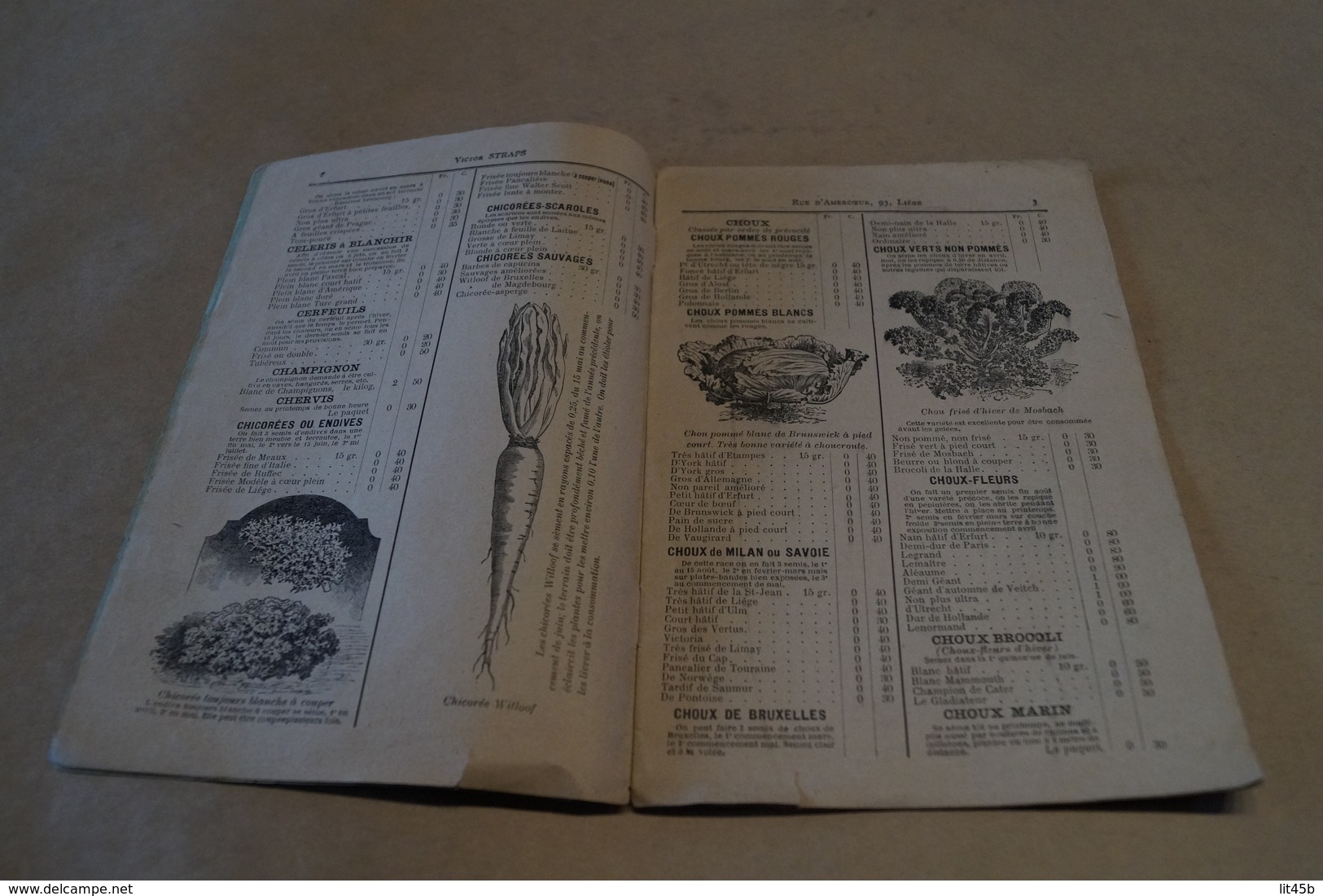 Ancien Catalogue Publicitaire établissement Horticole Année 1900,Victor Straps,Liège,18 Pages,23 Cm/15 Cm. - Publicités