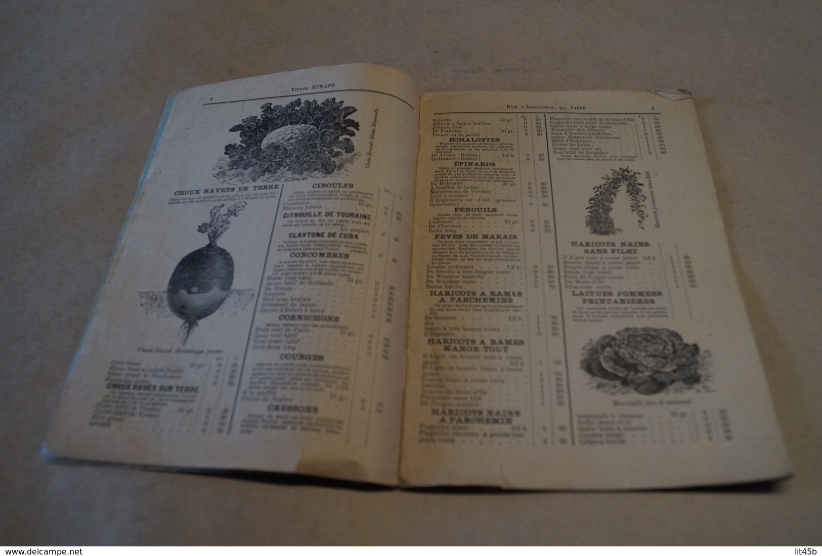 Ancien catalogue publicitaire établissement Horticole Année 1900,Victor Straps,Liège,18 pages,23 cm/15 Cm.