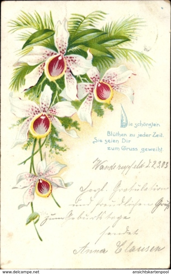 Cp Die Schönsten Blüten Zu Jeder Zeit, Orchidee - Autres & Non Classés