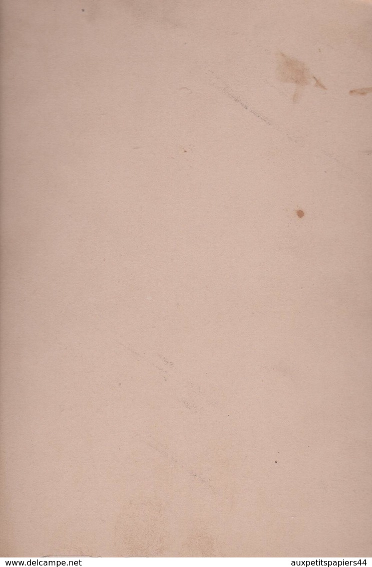 Grand Tirage Photo Albuminé Cartonné Original Portrait D'une Fillette Et Sa Poupée Vers 1890 Atelier F. Kuglere - Personnes Anonymes