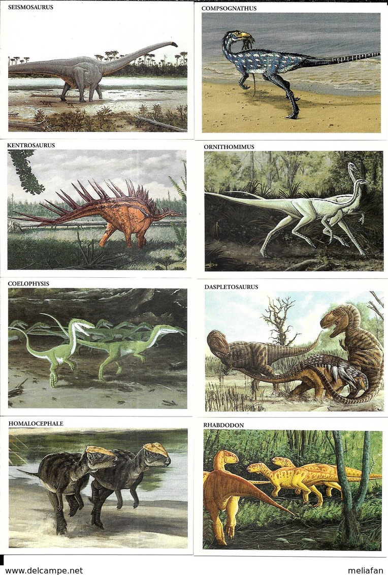 BB90 - SERIE COMPLETE 46 CARTES REDSTONE - DINOSAURES - Autres & Non Classés