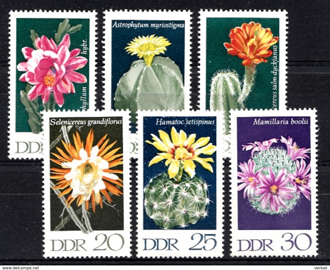 Allemagne DDR 1970  Mi.nr.:1625-1630 Kakteen  Neuf Sans Charniere /MNH / Postfris - Neufs
