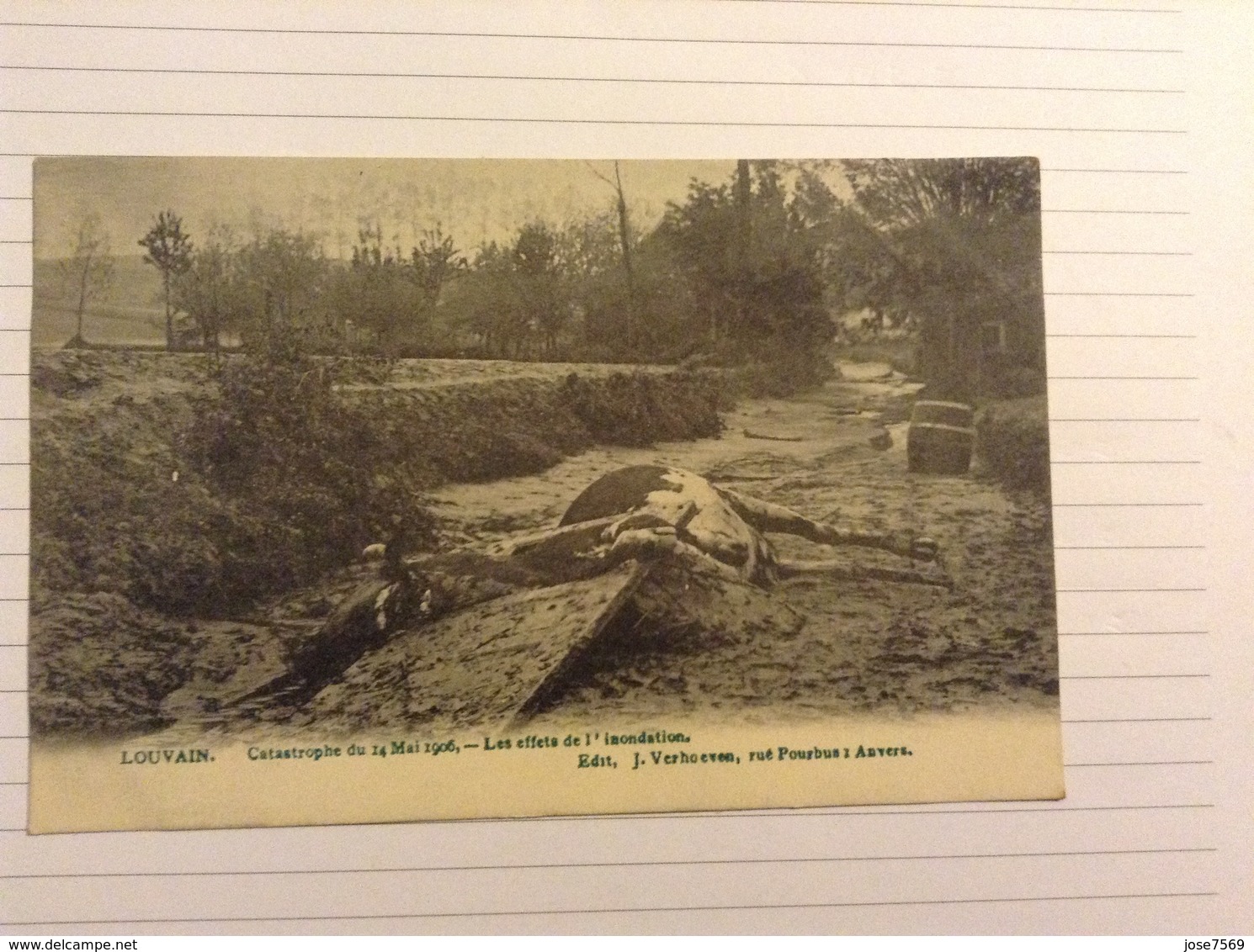 -postkaart, Leuven Dode Dieren Na De Overstroming, Gelopen 1906, Zegel 1 Cent Nr, 53 - Leuven