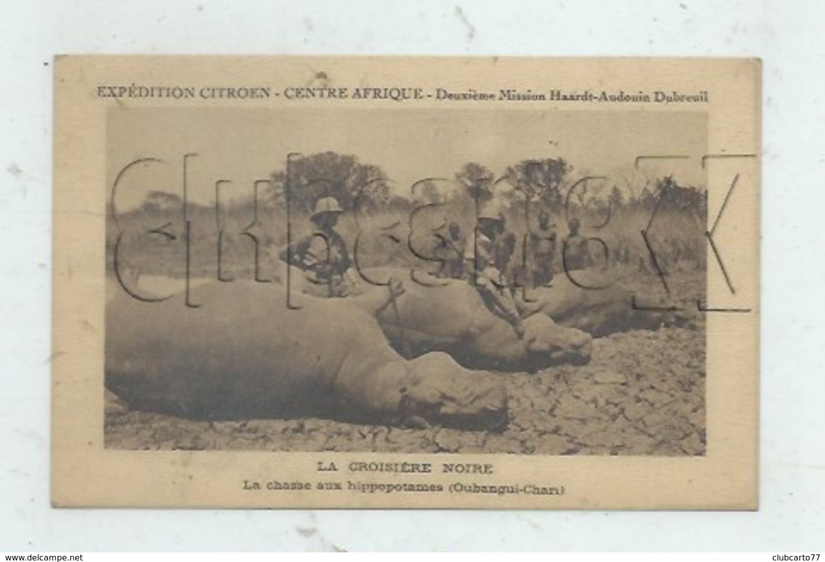 République Centrafricaine Ou Centrafrique : Chasse Aux Hippopotames Croisière Noire Centre Afrique En 1930 (animé) PF - Centrafricaine (République)