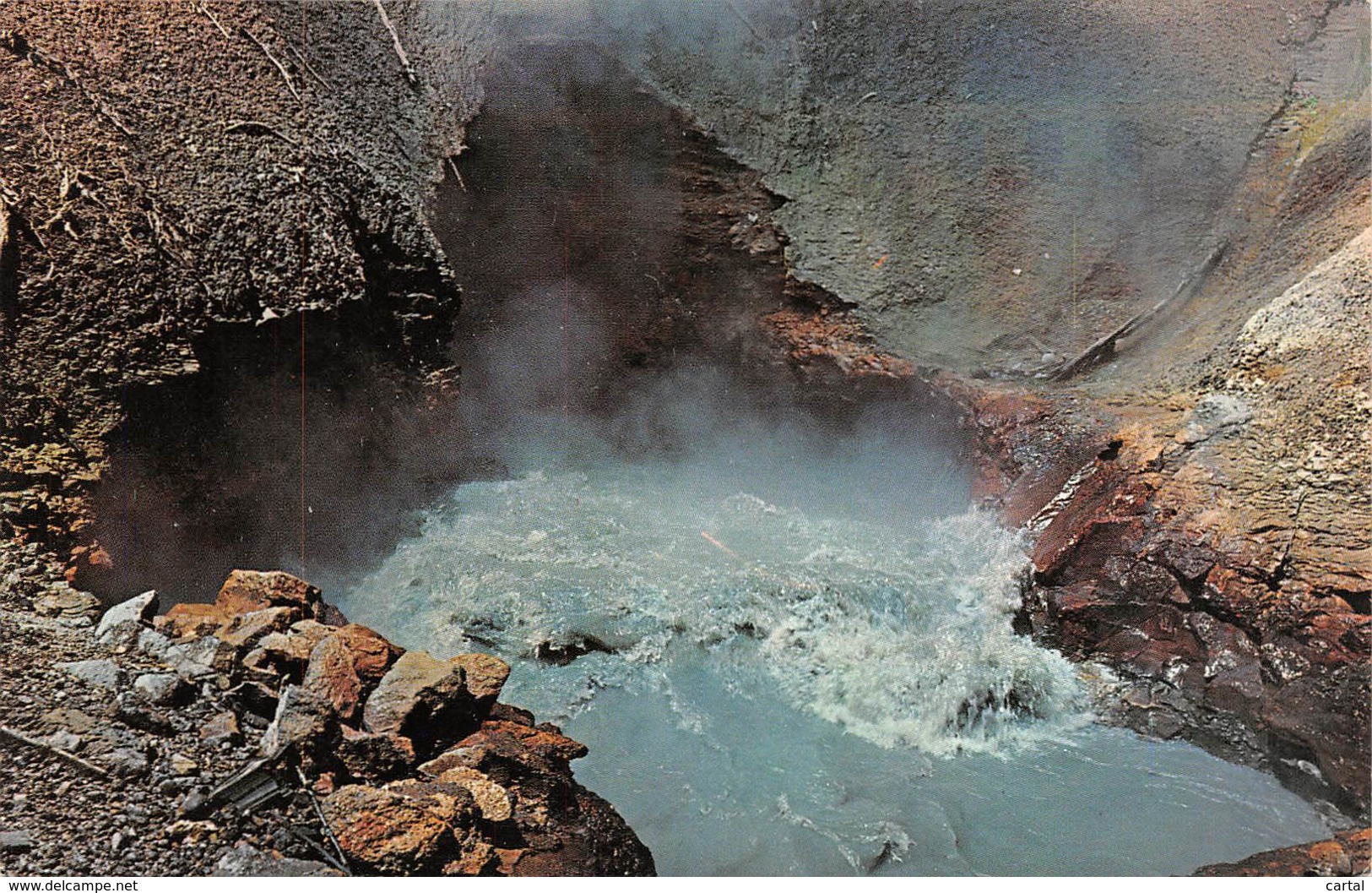 Dragon's Mouth Geyser In YELLOWSTONE Park - Billings