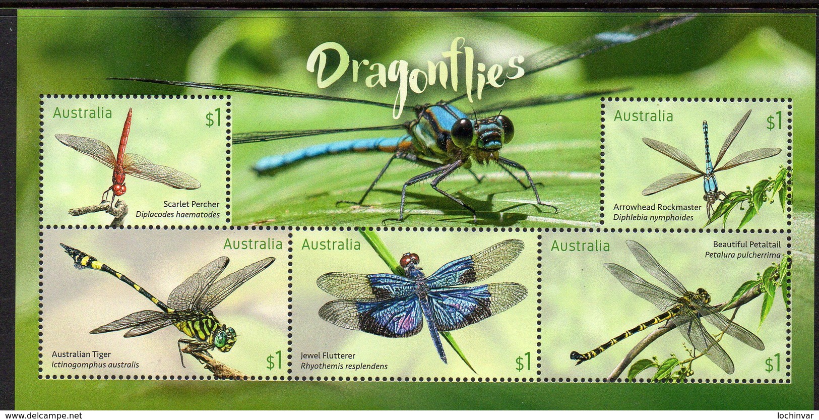 AUSTRALIA, 2017 DRAGONFLIES MINISHEET MNH - Mint Stamps