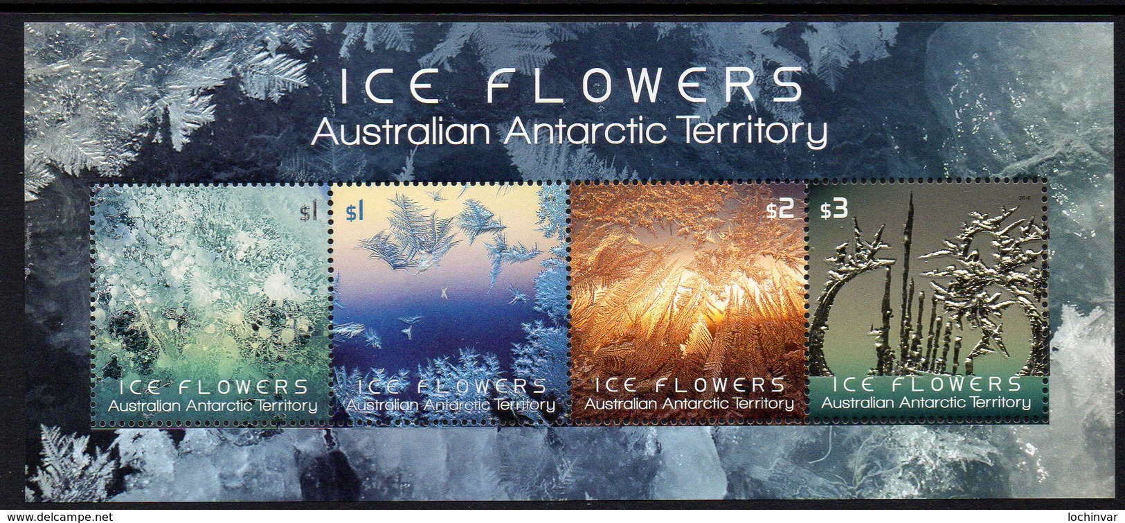 AAT, 2016 ICE FLOWERS MINISHEET MNH - Unused Stamps