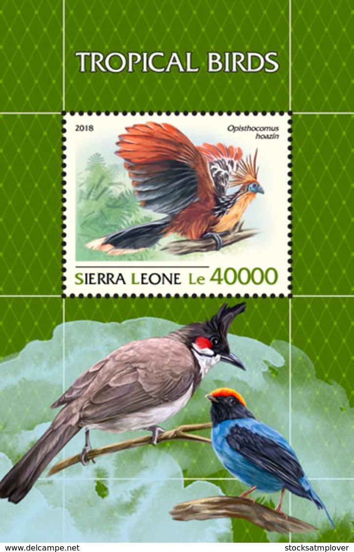 Sierra Leone 2018 Tropical Birds Fauna  S201811 - Sierra Leona (1961-...)