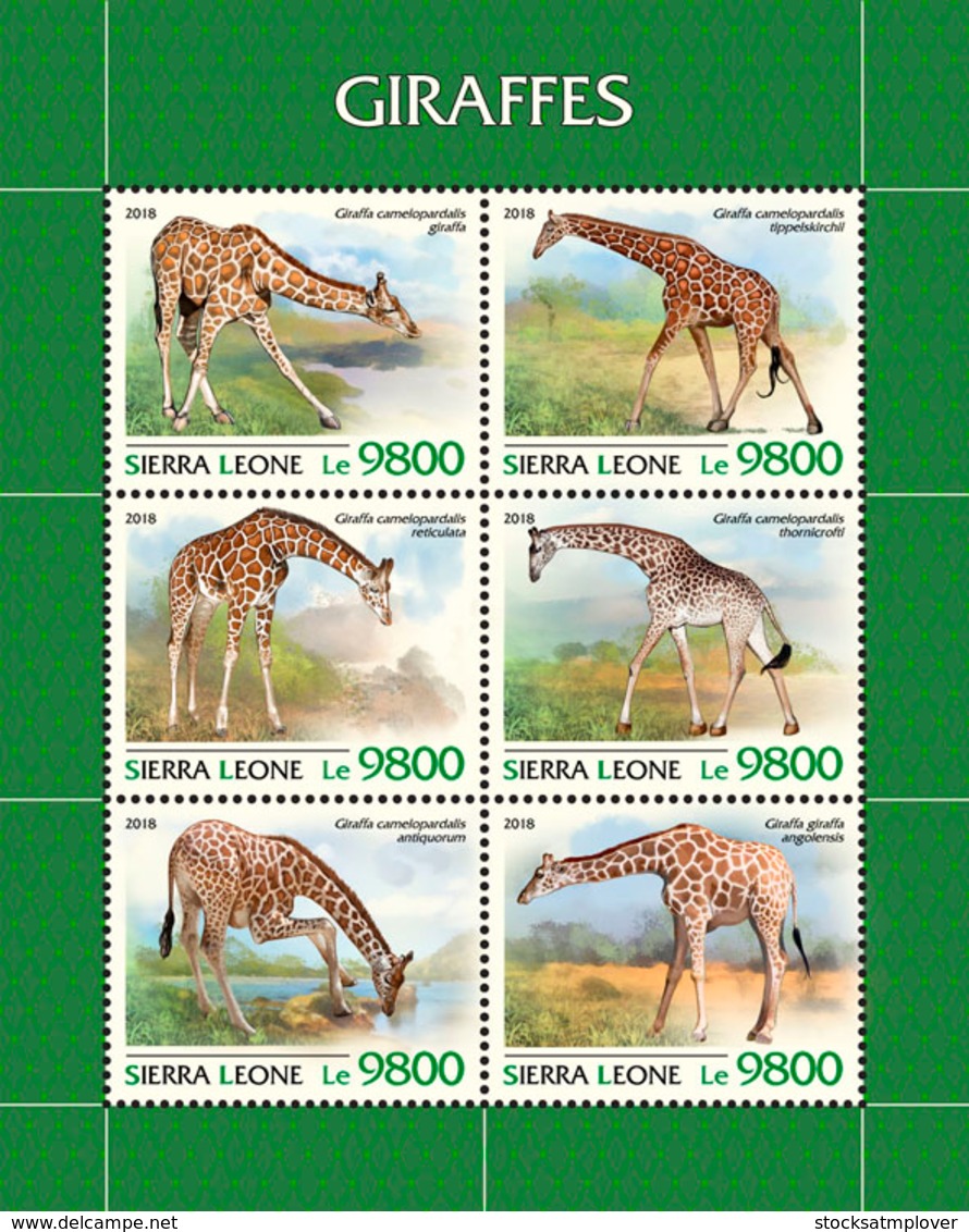 Sierra Leone 2018 Giraffes Fauna  S201811 - Sierra Leone (1961-...)