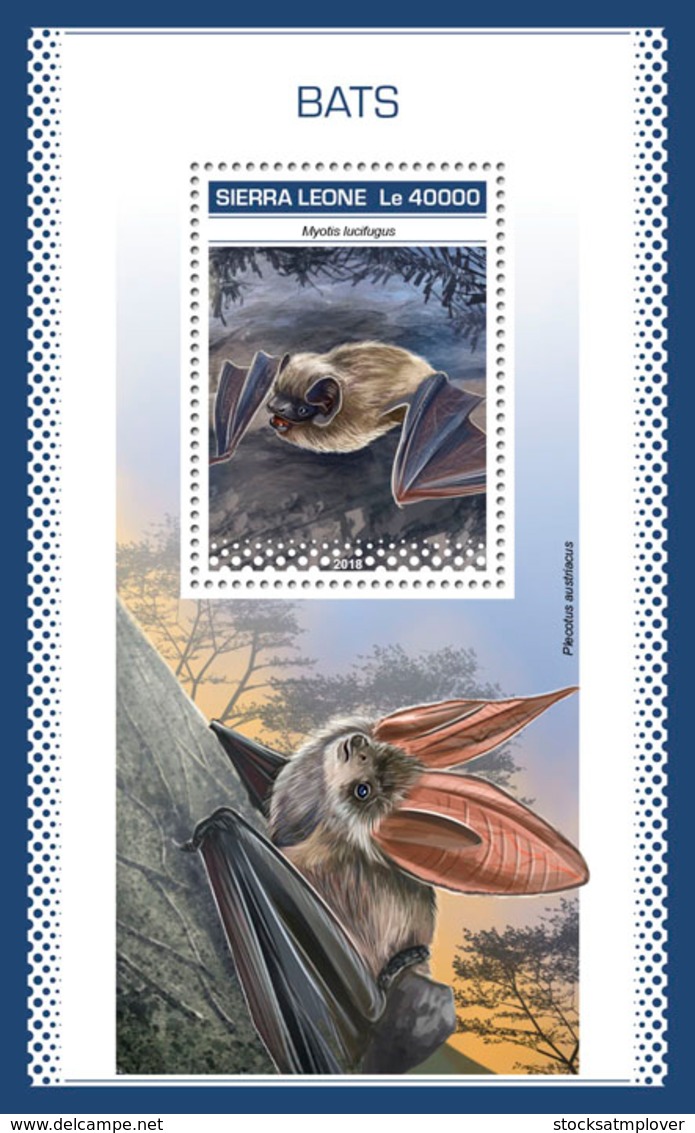 Sierra Leone 2018 Bats  Fauna  S201811 - Sierra Leone (1961-...)