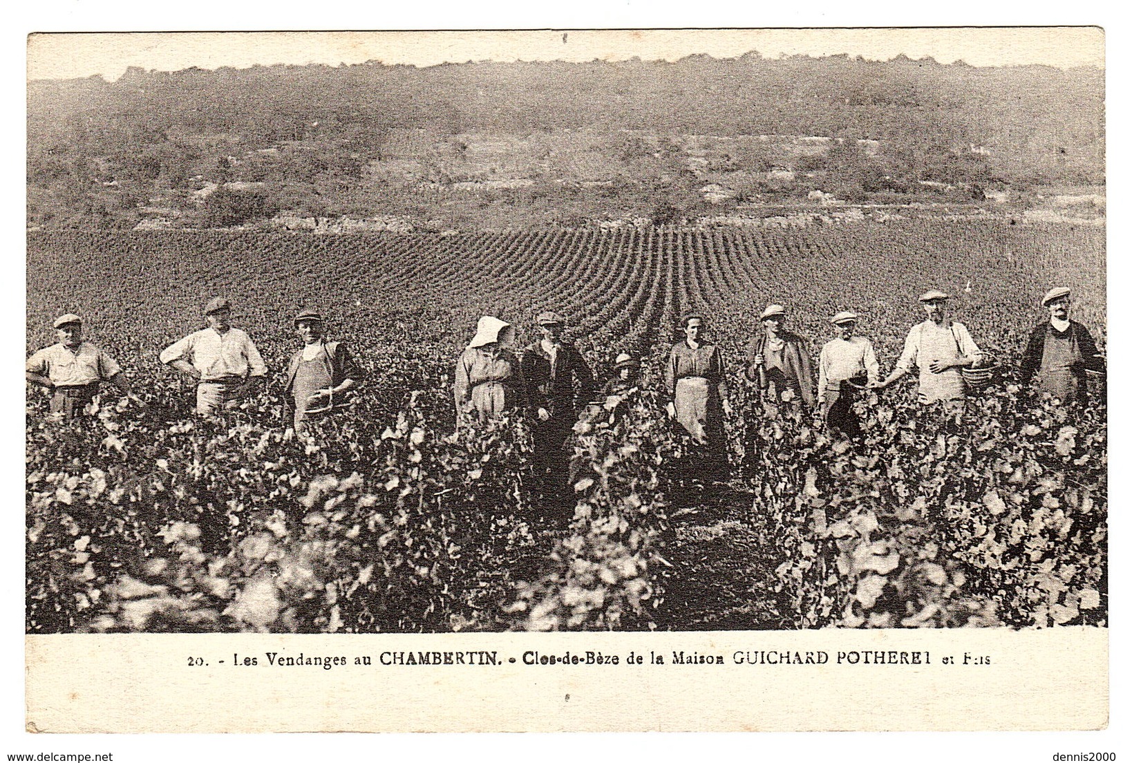 GEVREY CHAMBERTIN (81) - Les Vendanges Au Chambertin - Cles-de-Beze De La Maison GUICHARD POTHERET Et Fils - Autres & Non Classés