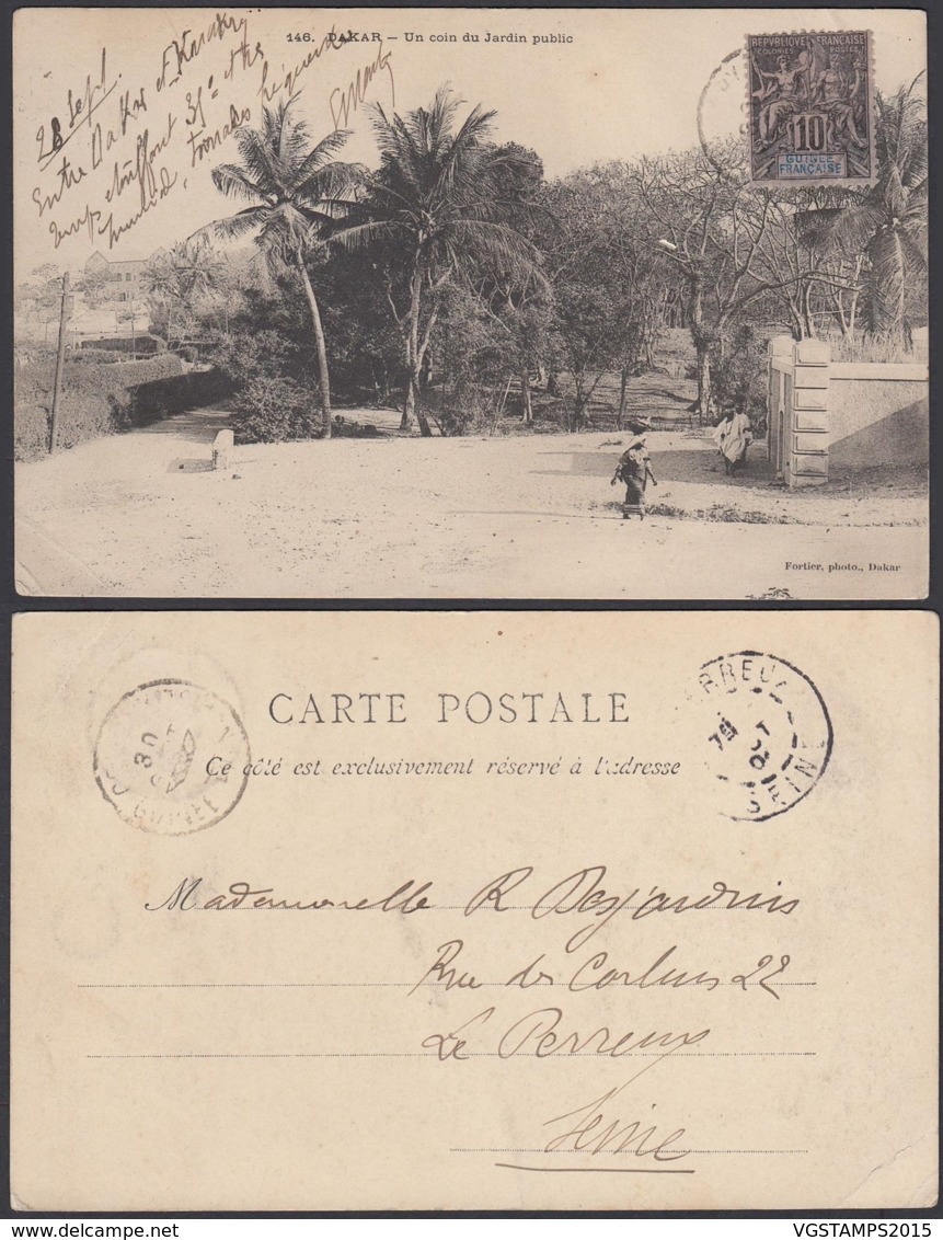 Colonies Françaises - CP Guinée Nº146 " Dakar - Un Coin Du Jardi Public "  (5G) DC1186 - Other & Unclassified