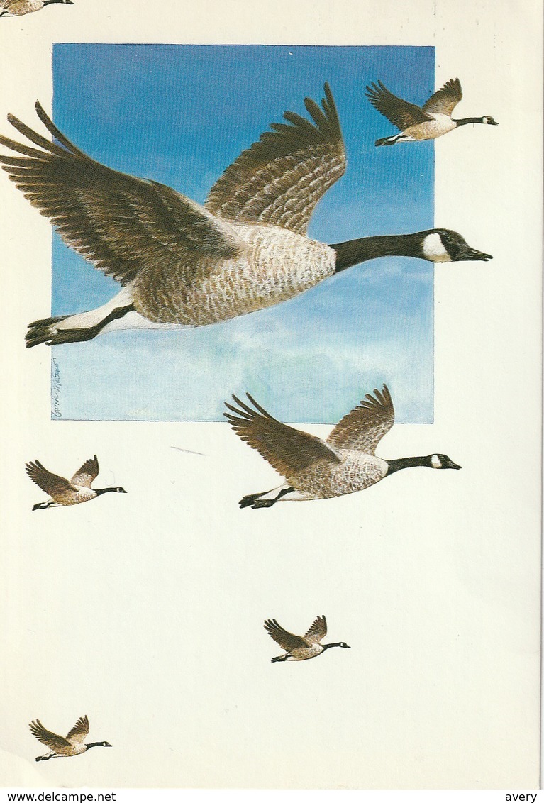 Change Of Address Card Canada  Canada Goose - Other & Unclassified