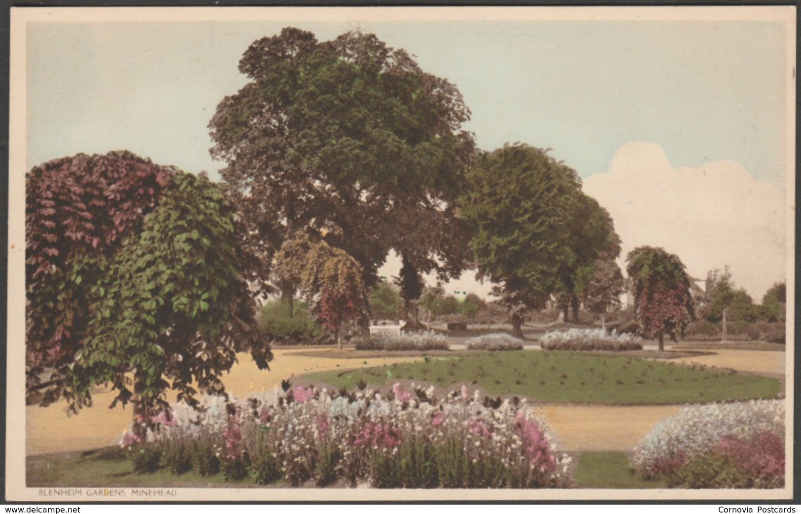 Blenheim Gardens, Minehead, Somerset, C.1950 - Postcard - Minehead