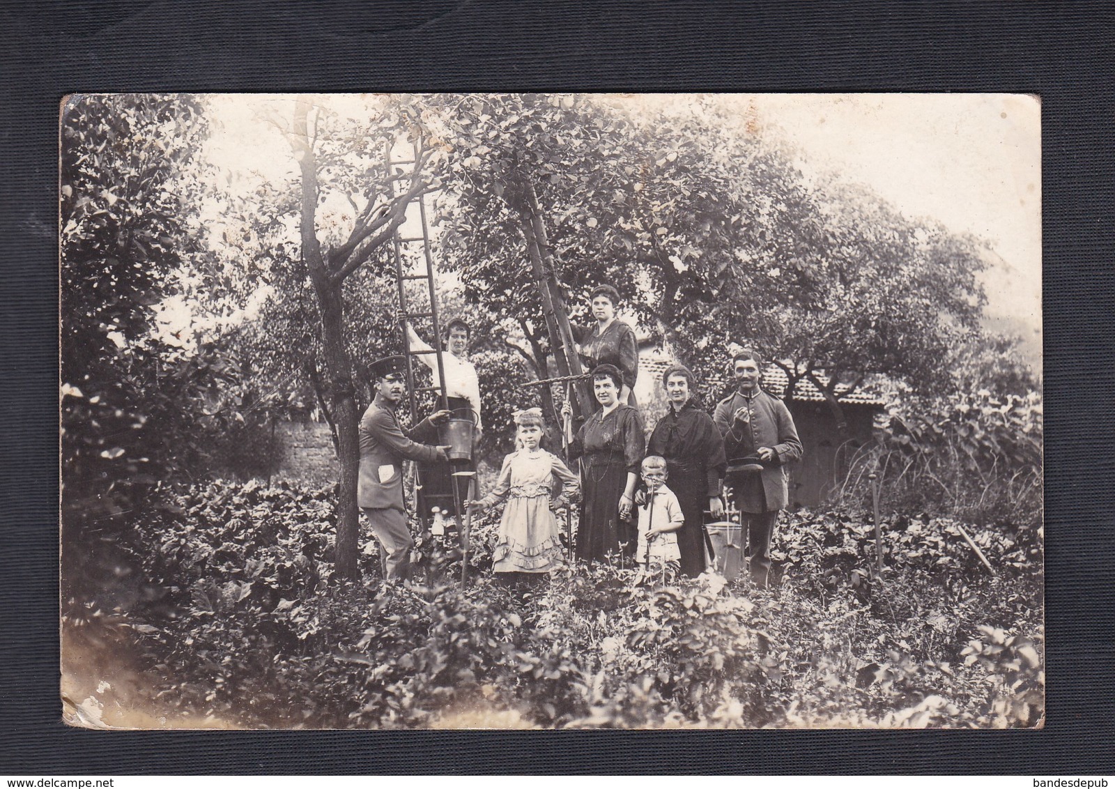 Carte Photo Groupe Militaires Et Famille Dans Le Jardin Recolte  Felix Archen Marange Silvange Moselle 57 - Otros & Sin Clasificación