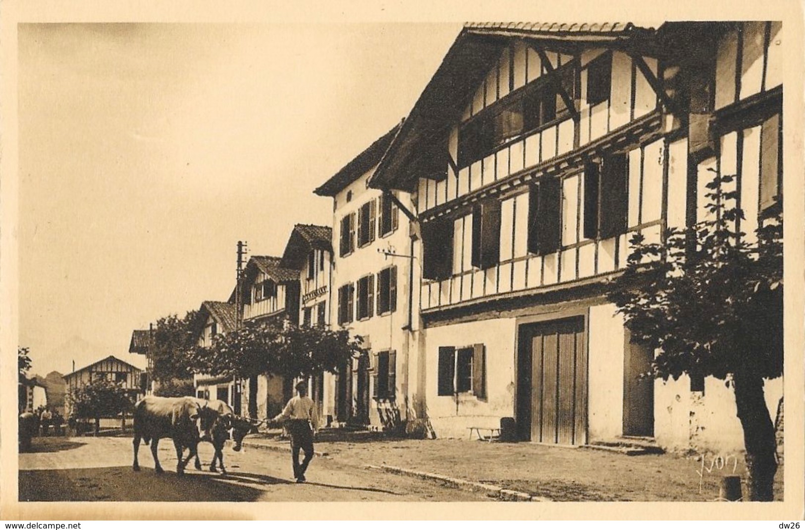 Le Pays Basque - Aïnhoa (Basses-Pyrénées) - La Grande Rue Du Village - Carte Yvon N° 32 Non Circulée - Ainhoa