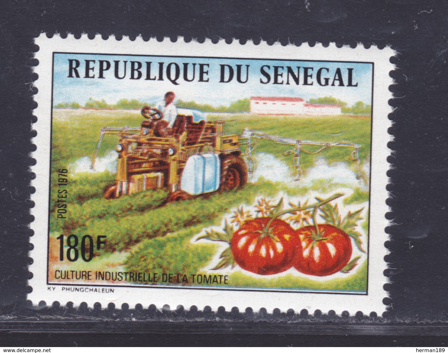 SENEGAL N°  435 ** MNH Neuf Sans Charnière, TB (D7857) Culture Industrielle De La Tomate - 1976 - Sénégal (1960-...)