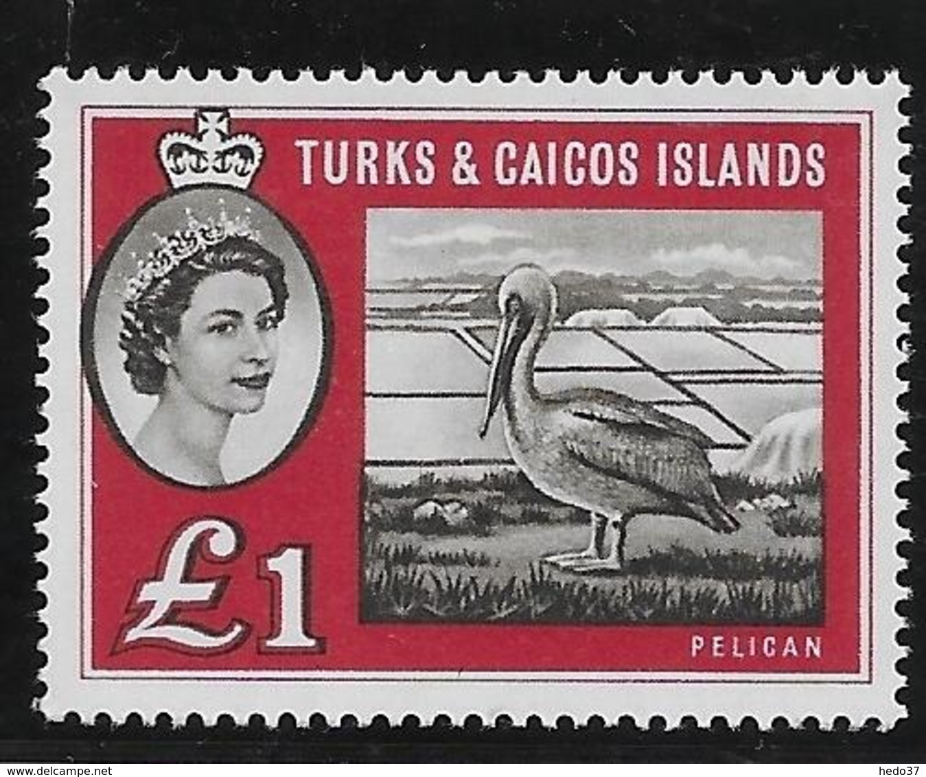 Turks Et Caicos N°176A - Oiseaux - Neuf ** Sans Charnière - TB - Turks & Caicos (I. Turques Et Caïques)