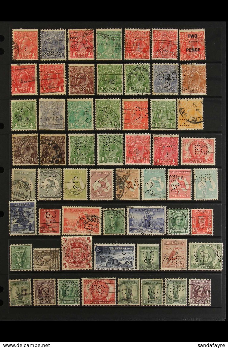 PERFINS 1910's-1970's Interesting Collection Of Used Stamps With Various Private COMMERCIAL PERFINS Presented On Stock P - Other & Unclassified