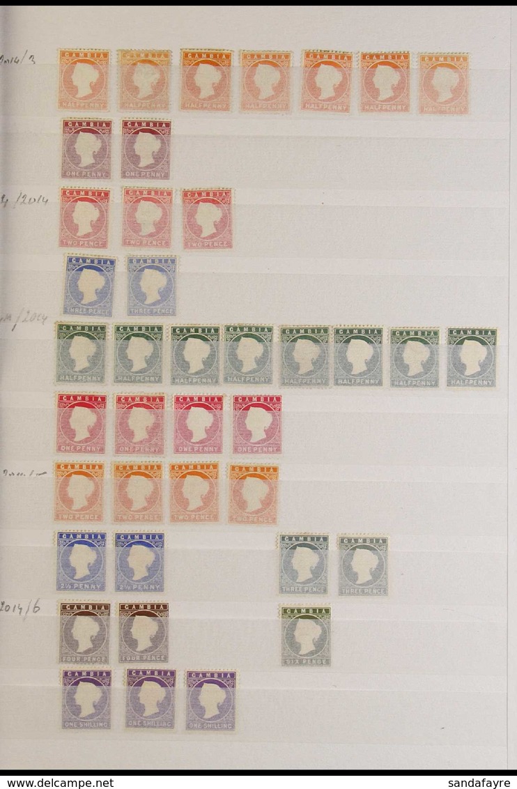 1880-1938 MINT RANGES ON STOCKLEAVES CAT £1,100+ With 1880-81 (CC Upright) ½d (7), 1d (2), 2d (3) And 3d (2); 1886-93 (C - Gambia (...-1964)