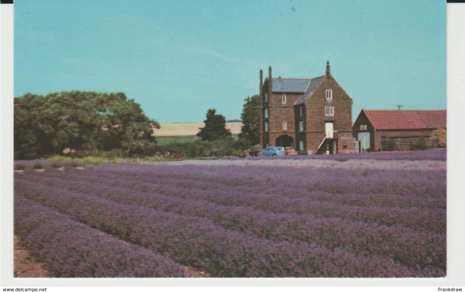 Postcard - Caley Mill, Heacham Home Of Norfolk Lavender - Unused Very Good - Unclassified