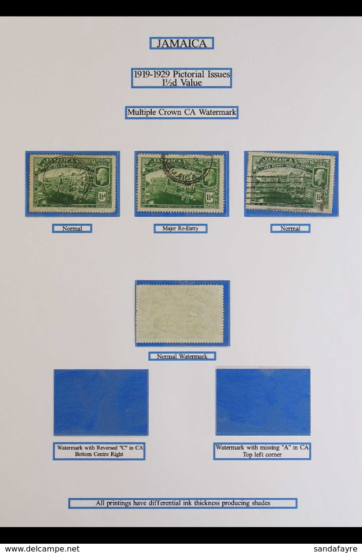 1919-21 1½d Contingent Stamps, Two Remaindered Pages From A Specialised Collection Includes Two "Contingent Cmbarking" E - Jamaica (...-1961)