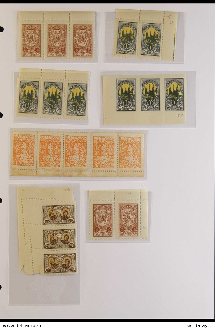 CENTRAL LITHUANIA 1920-22 MINT / UNUSED "PRINTERS WASTE" Presented In Mounts On Album Pages, Singles, Multiples, Perf, I - Lituanie