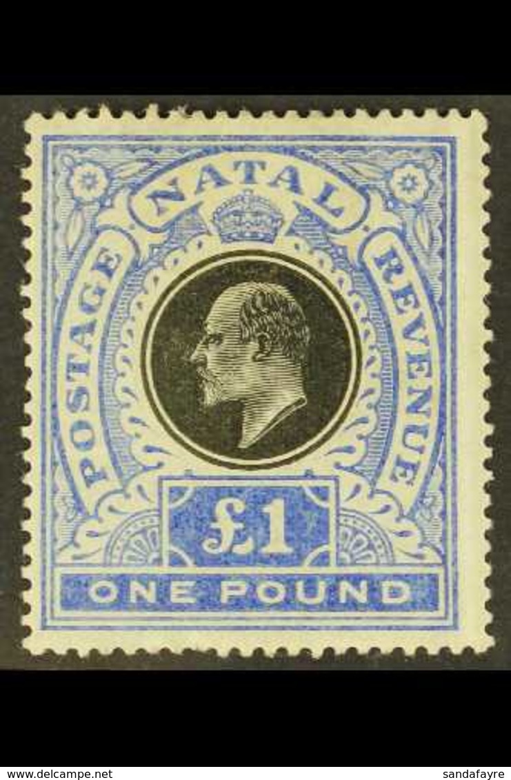 NATAL 1902 £1 Black & Bright Blue, Wmk Crown CC, SG 142, Fine Mint, One Blunt Perf At Base. For More Images, Please Visi - Zonder Classificatie