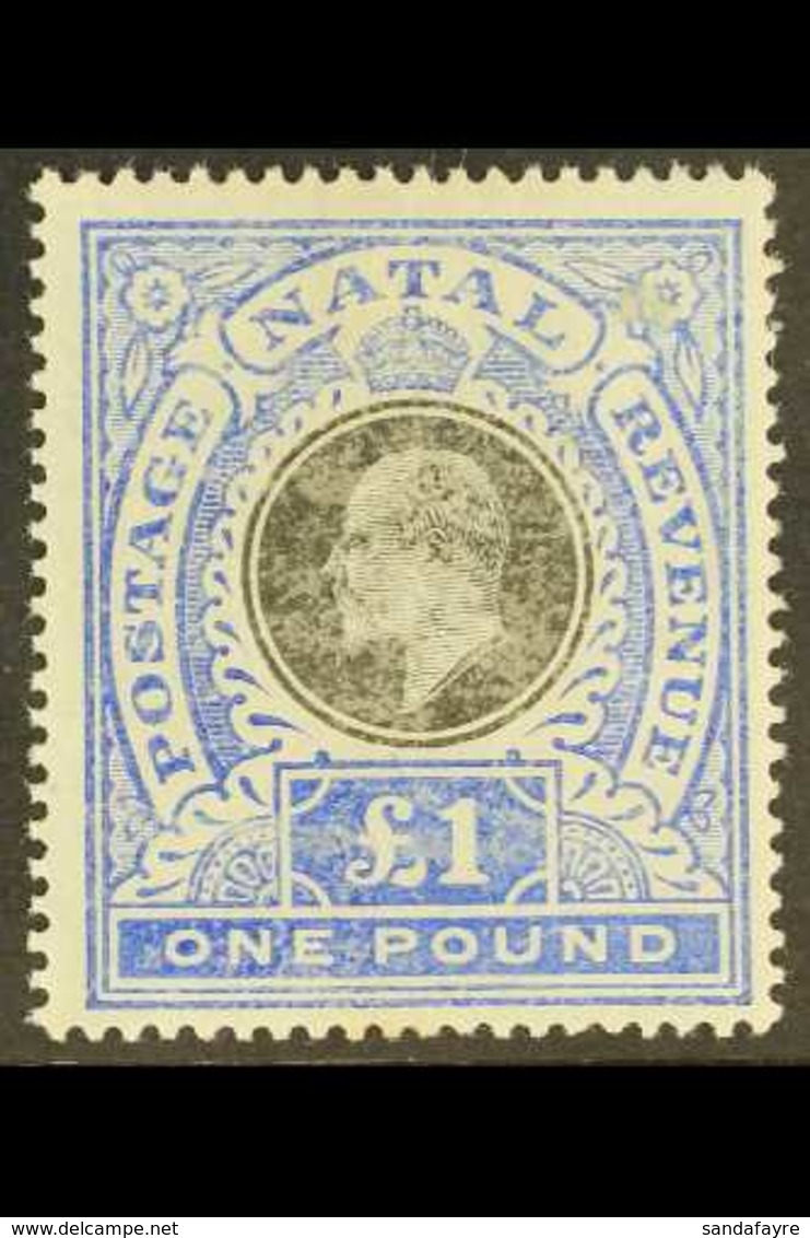 NATAL 1902 £1 Black And Bright Blue, SG 142, Mint. Rubbed Surface But Still A Reasonable Copy. Cat £350 For More Images, - Ohne Zuordnung