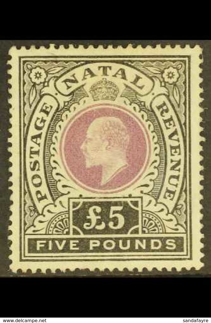 NATAL 1902 £5 Mauve And Black, SG 144, Cleaned And Regummed But Good Appearance. Cat £5500 As Mint, Good Spacefiller. Fo - Ohne Zuordnung