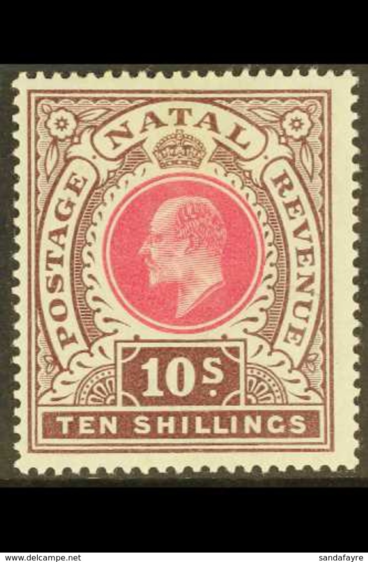NATAL 1902 10s Deep Rose And Chocolate, Ed VII, SG 141, Very Fine Mint. For More Images, Please Visit Http://www.sandafa - Ohne Zuordnung