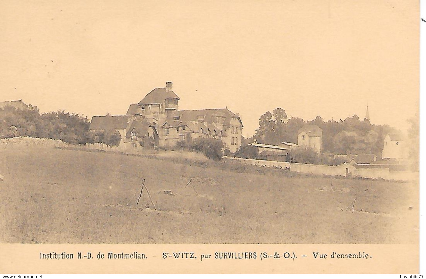 SAINT-WITZ - ( 95 ) - Vue Générale - Saint-Witz