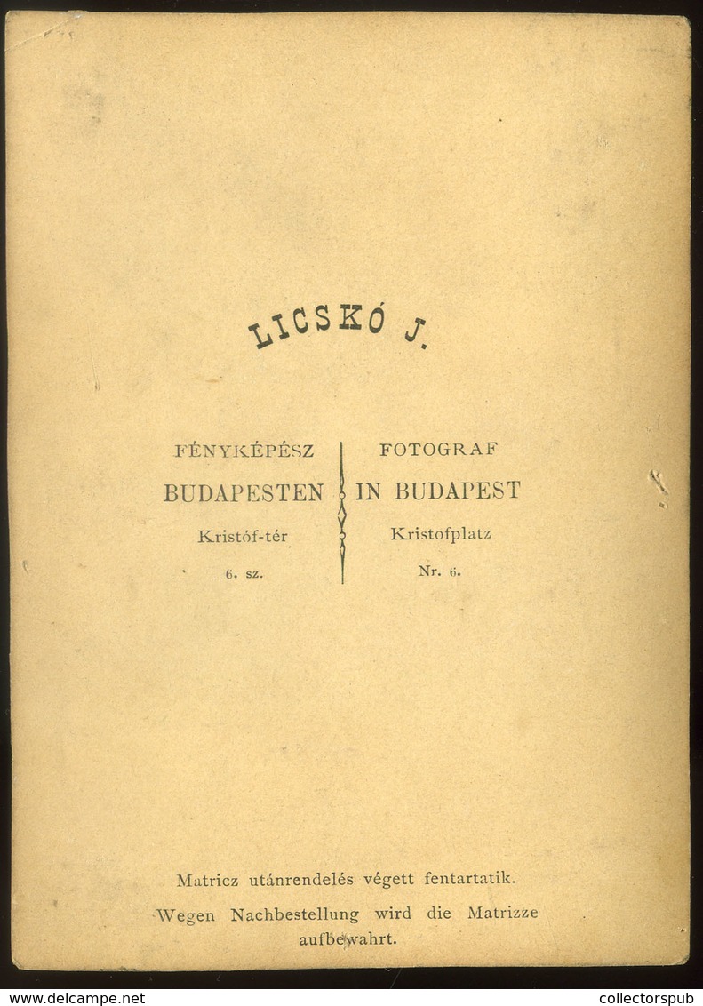 BUDAPEST 1865-70. Licskó J : Ismeretlen Család , Szép Cabinet Fotó  /  BUDAPEST 1865-70 J. Licskó : Unknown Family Nice - Otros & Sin Clasificación