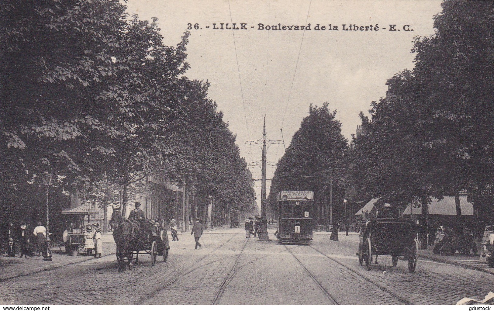 Nord - Lille - Boulevard De La Liberté - Lille