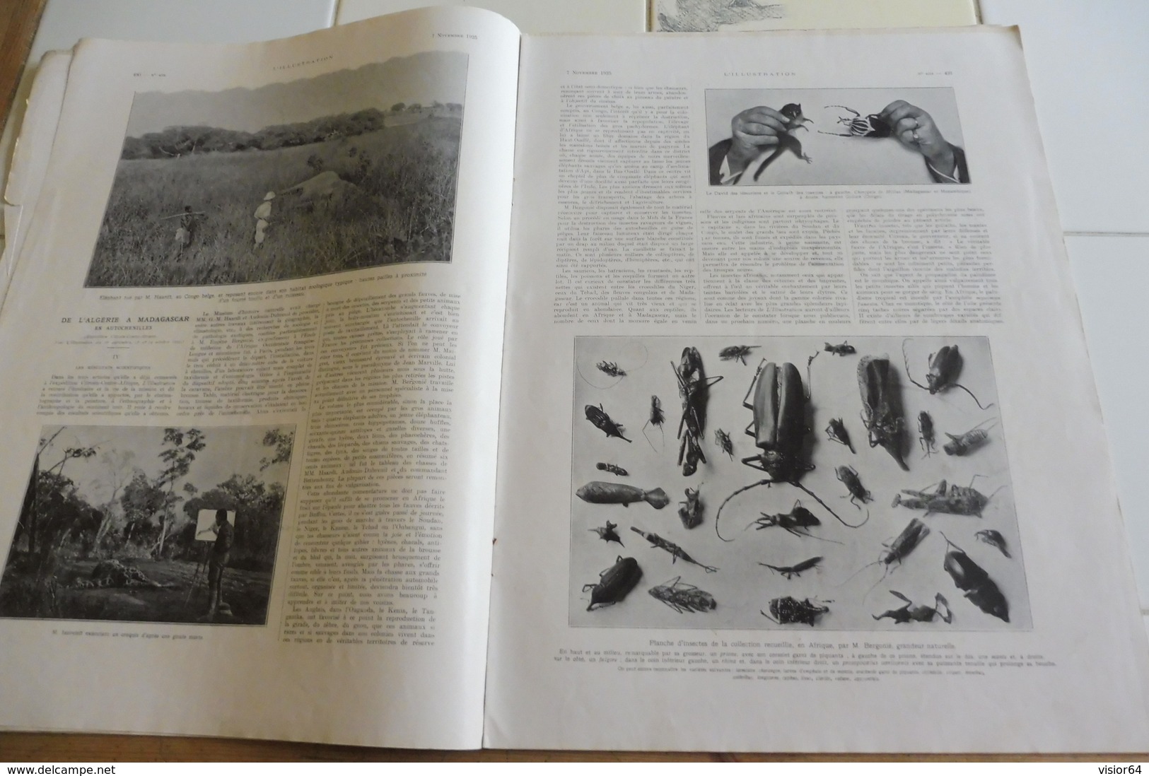 L'ILLUSTRATION 7 NOVEMBRE1925-EXPLORATION DES OCEANS-DE L'ALGERIE A MADAGASCAR EN AUTOCHENILLES-DAMAS-VICTIMES DE GUERRE