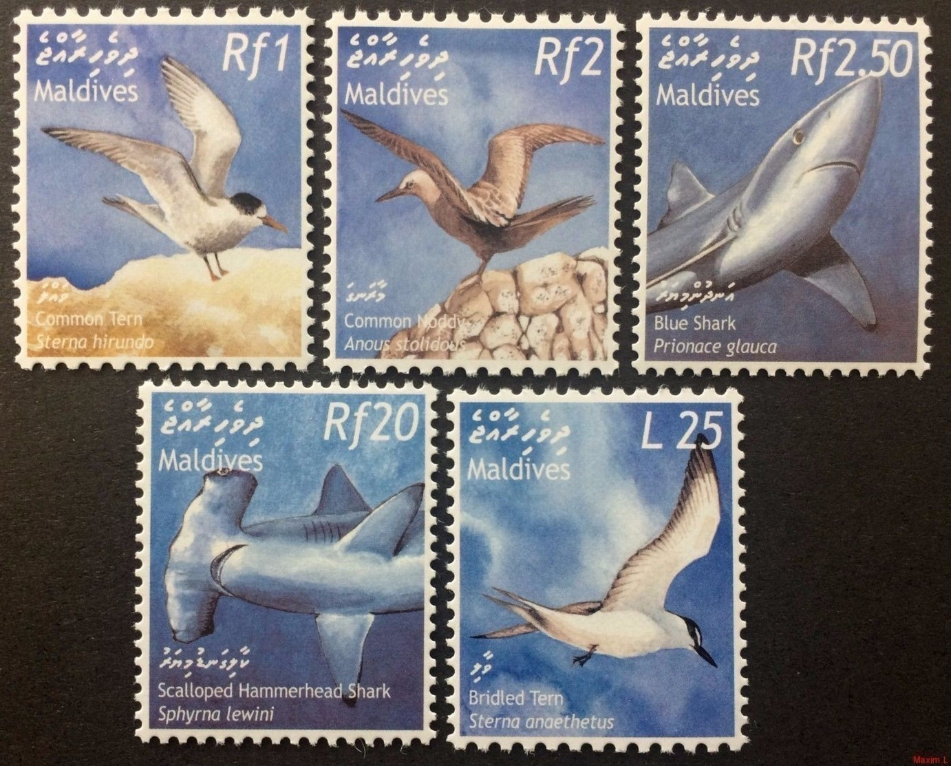 Maldives 2002** Mi.3982-86. Birds [20;68] - Seagulls