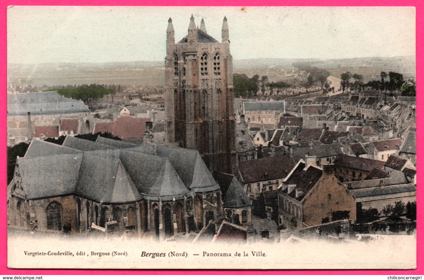 Bergues - Panorama De La Ville - Edit. VERGRIETE COUDEVILLE - Colorisée - Bergues